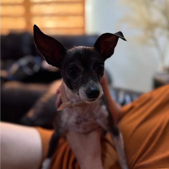 LIZA IS LIVE AND ON FIYAAAA!!! - Picture 6 of 10